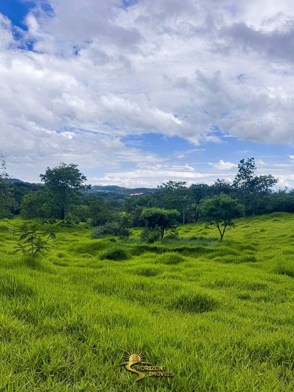Fazenda à venda, 5000m² - Horizont Imóveis, Imobiliária em Mateus Leme - MG
